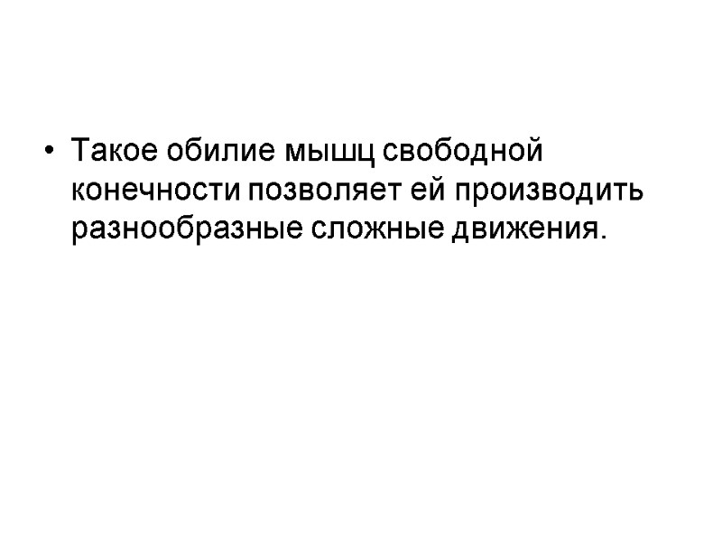 Такое обилие мышц свободной конечности позволяет ей производить разнообразные сложные движения.